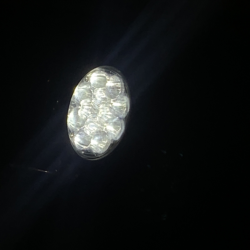 Buy Dreamlux 36 Watt LED Street Light with 2 Years Warranty